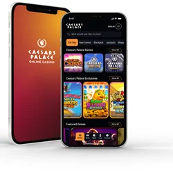 C7赌场移动端体验